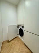 IMG_1294 2 Medium.jpeg